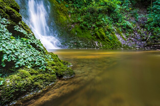 Waterfall surrounded by greenery acquacaduta friuli italy