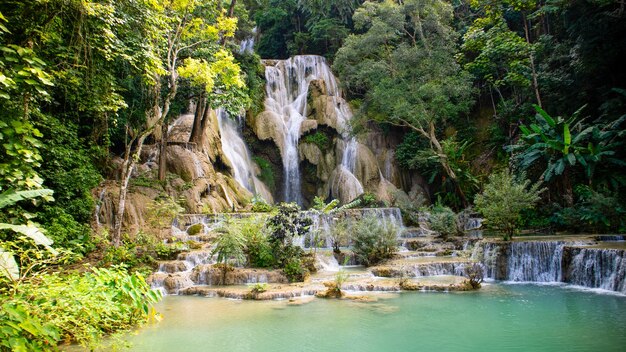 タット・クアン・シ・ウォーターフォール (Tat Kuang Si Waterfall) はラオスの観光スポットであるルアン・プラバン (Luang Prabang) 