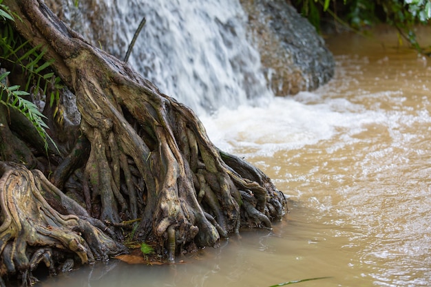 Waterfall at thailand nature