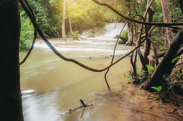 Waterfall and tree in rainy season