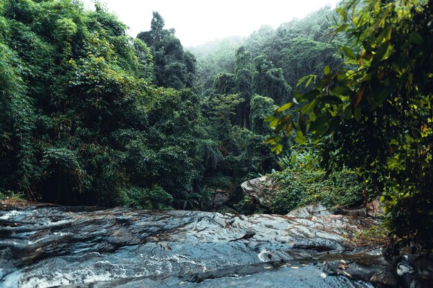 장마철 열대 우림의 폭포
