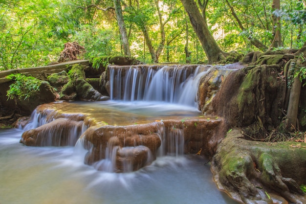 Cascata nella foresta tropicale