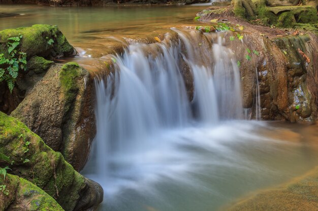 Waterfall in the tropical forest 