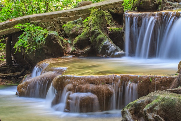 Waterfall in the tropical forest 