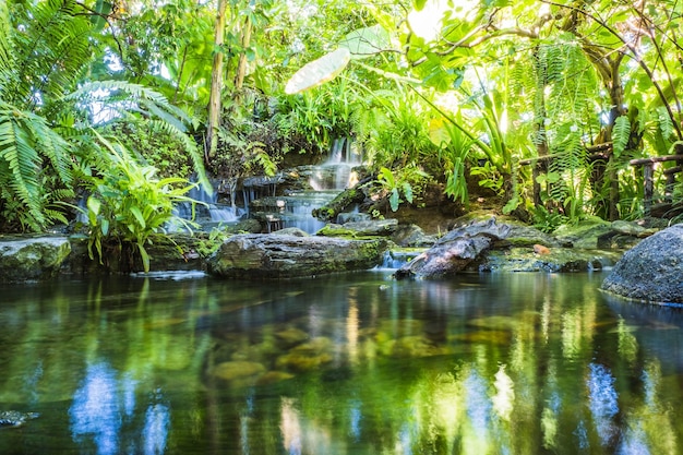 Waterfall in tropical garden during spring season beautiful landscaping with beautiful plants