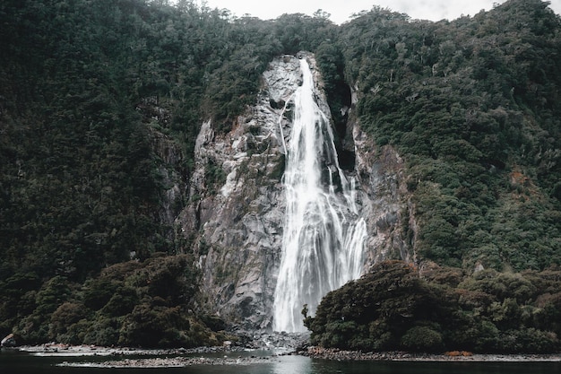 Foto le acque della cascata si fanno strada tra le rocce e gli alberi della foresta in un calmo lago poco profondo milford