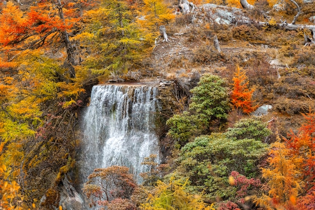Waterfall with autunm leaves in Yading Nature Reserve, Sichuan, China