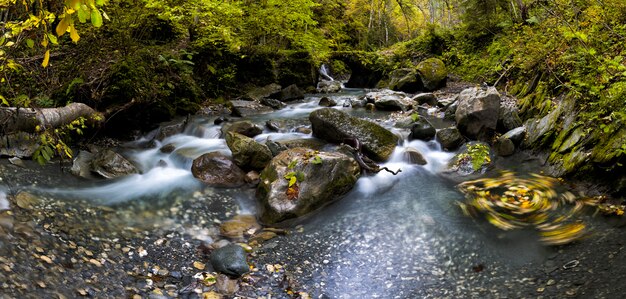 Фото Водопад с листьями на скалах на лугу с текущей водой