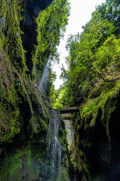 北東海岸のロスティノス自然公園の峡谷にある夏の水が少ない滝