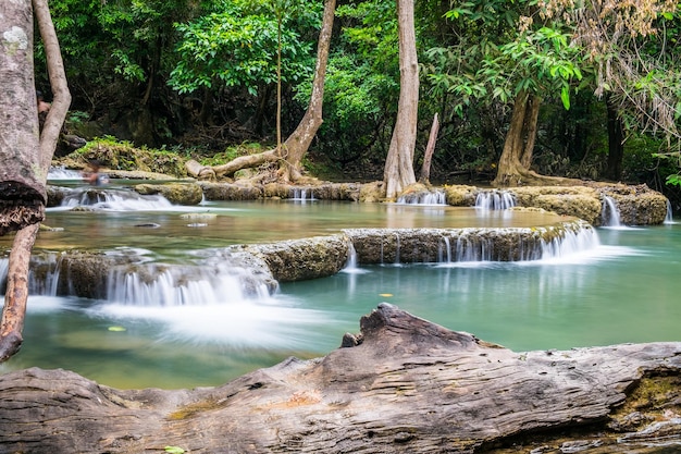 Waterfall with timber log scenic natural