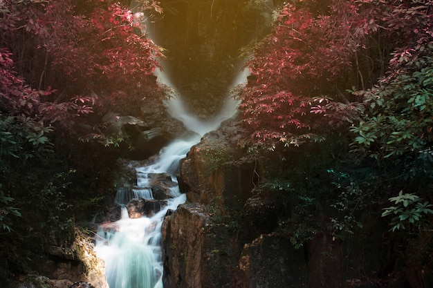 Photo waterfalls are beautiful, with water running through and with fish. tourist