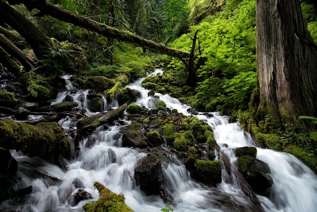 Waterfalls in the Columbia River Gorge