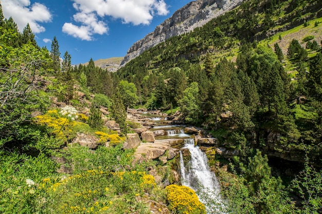 Waterfalls of the river Ara in the Ordesa valley on a sunny day Aragon Huesca Spain