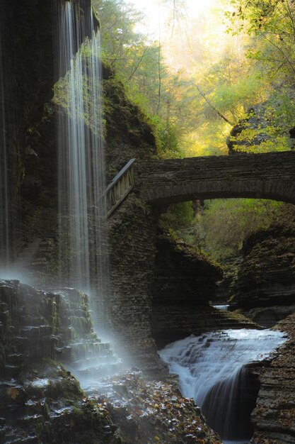 Waterfalls