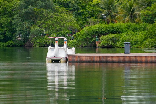 Waterfiets bij Rodrigo de Freitas-lagune in Rio de Janeiro, Brazilië.