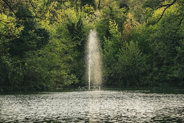 Waterfontein in een lente groen zonnig openbaar park natuurlijke seizoengebonden achtergrond