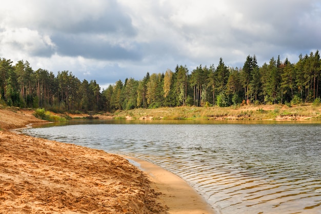 Waterfront strand helder bos meer