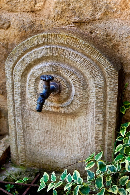 Waterhole in a charming garden in Summer