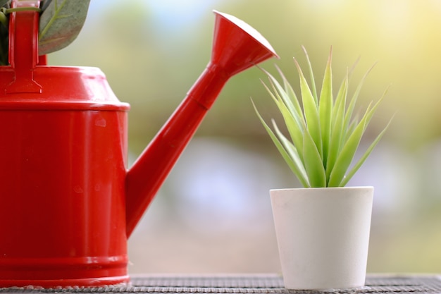 Photo watering bucket with plant pots