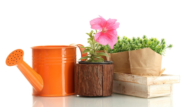 Watering can flower and plants in flowerpots isolated on white