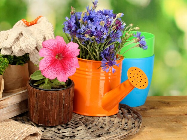 Watering can and flowers on wooden table on green background