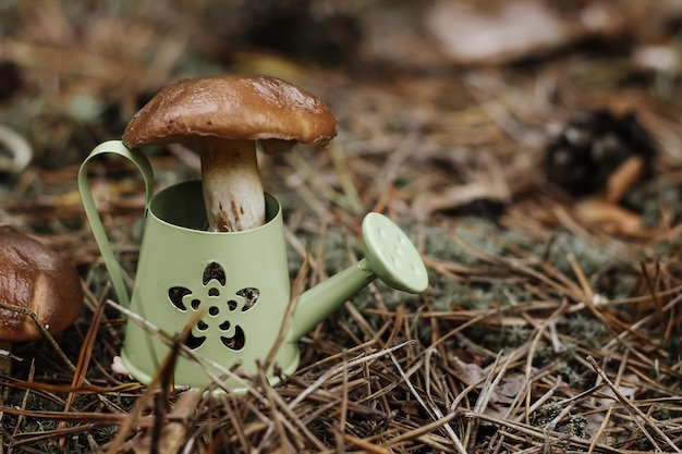 Un annaffiatoio nella foresta sul muschio tra i funghi il concetto di protezione della natura