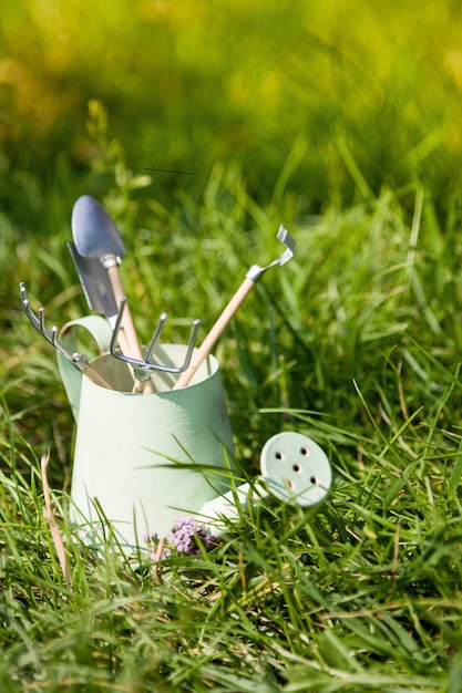 Watering can and garden tools on grass in summer