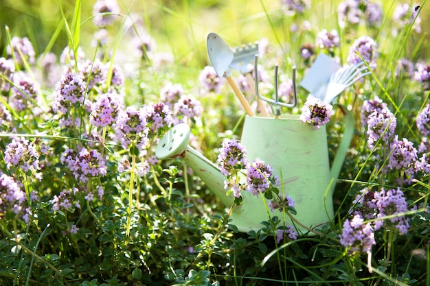 Watering can and garden tools on grass