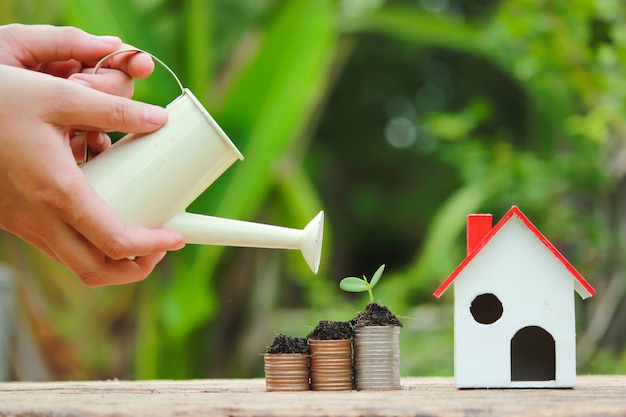 Watering can and plant tree Save money for the future.