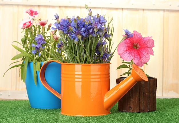 じょうろと木製の背景の草の上の植木鉢の植物