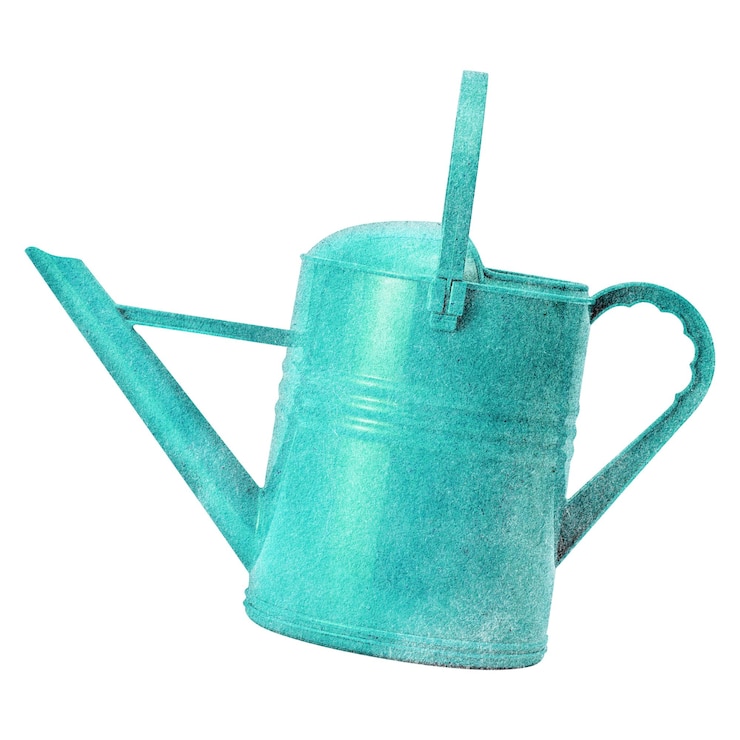 Photo watering can png sticker transparent background