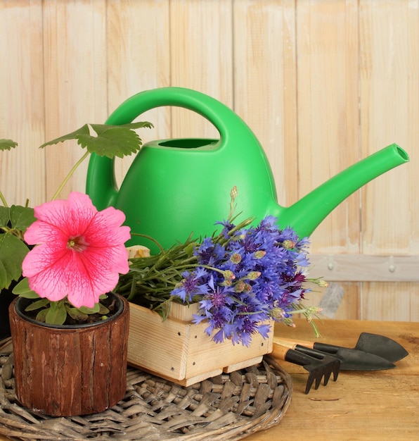 Watering can tools and flowers on wooden background