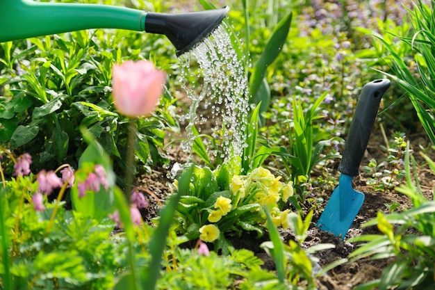 Watering can and trowel in a garden