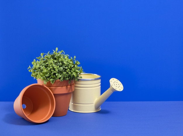 Photo watering can for watering plants and flower pots copy space for text