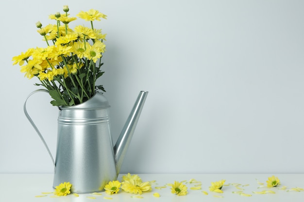 Watering can with chrysanthemums against light background.
