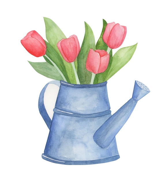 Watering can with flowers tulips