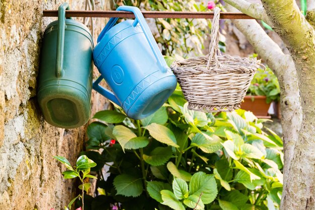 Photo watering cans and wicker basket hanging over plants in yard