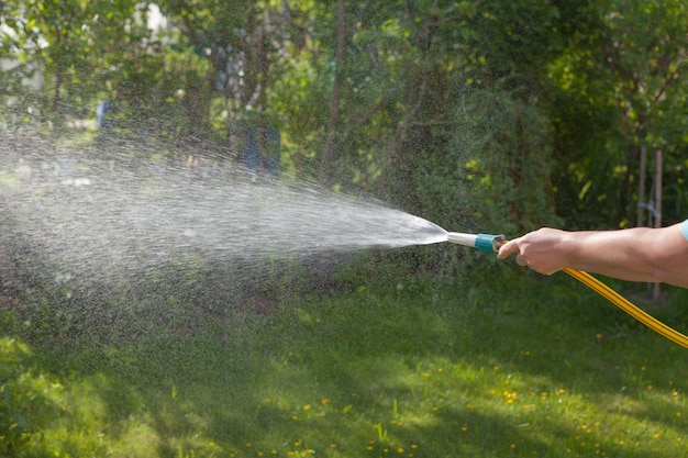 Watering the garden. Hose in a woman's hand.