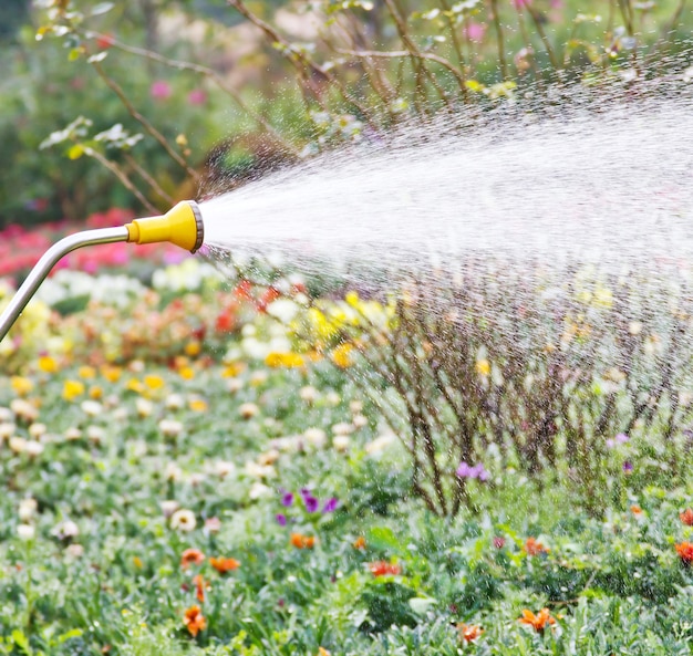 Watering in the garden