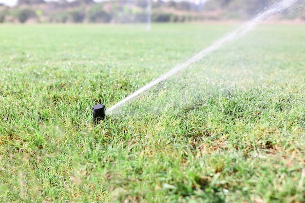 Watering green grass with sprinkler system during drought