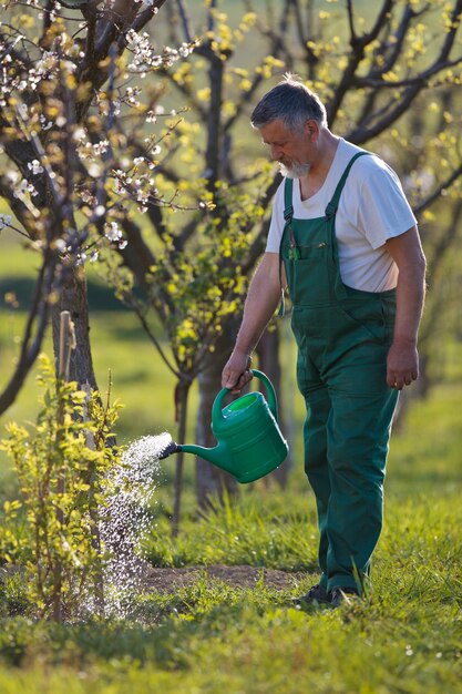 Foto irrigazione orchardgarden ritratto di un uomo anziano giardinaggio nel suo giardino dai toni di colore dell'immagine