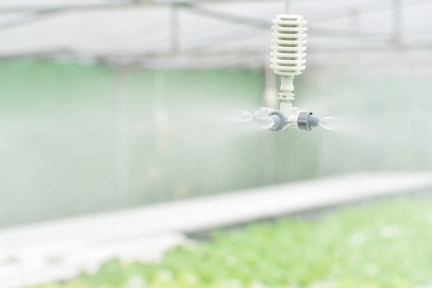 Photo watering system at hydroponic farm