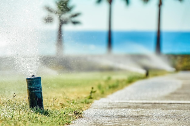 Photo watering system sprays water on green lawn on territory of hotel close view