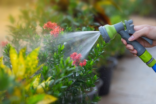 Photo watering a tree at garden