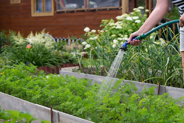 Watering van tuingewassen