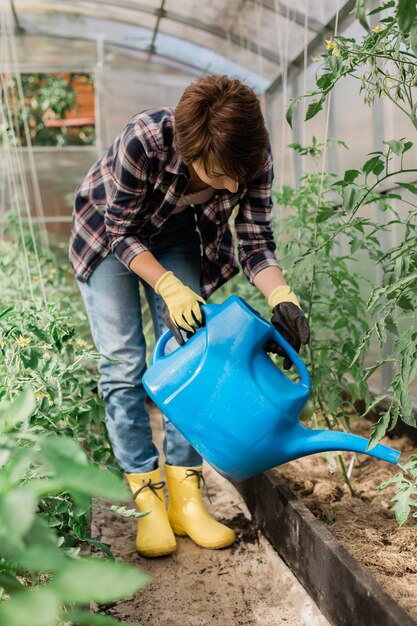 野菜の庭に水をまく 手袋をはめた女性庭師 有機野菜でベッドに水をやる 家の温室でトマトの世話をする