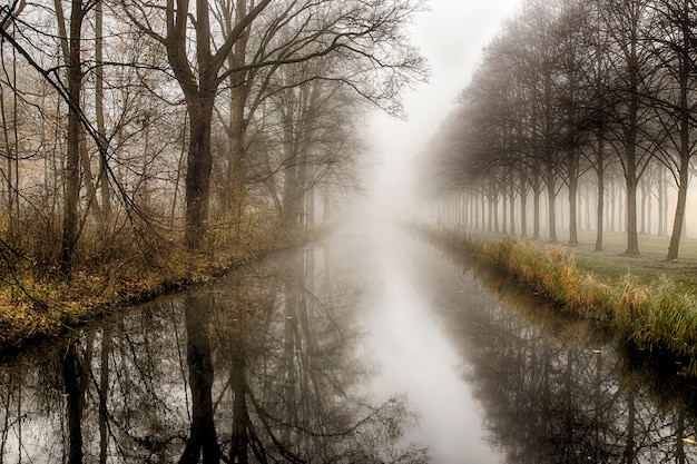 Waterkanaal door bos in de herfst