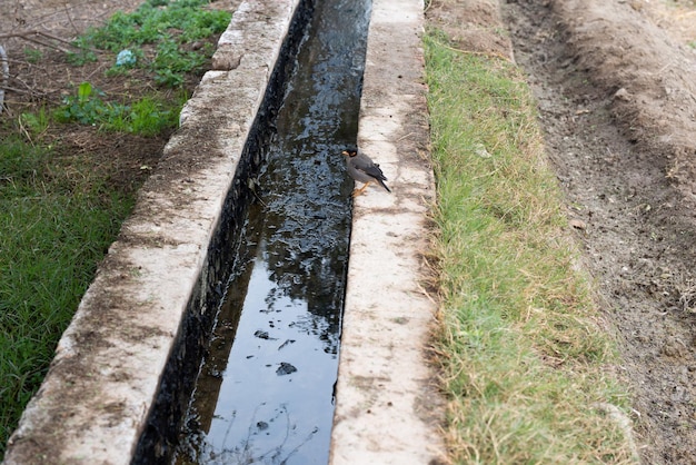 Waterkanaal voor irrigatiesysteem voor akkers in het dorp