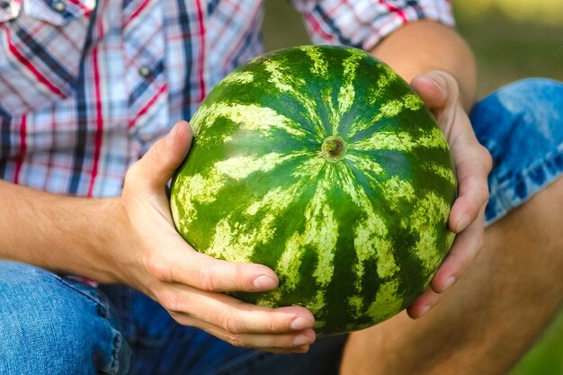 Watermeloen in de handen van een man in de natuur