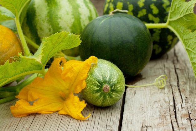 Watermeloen, meloen en courgette met een bloem